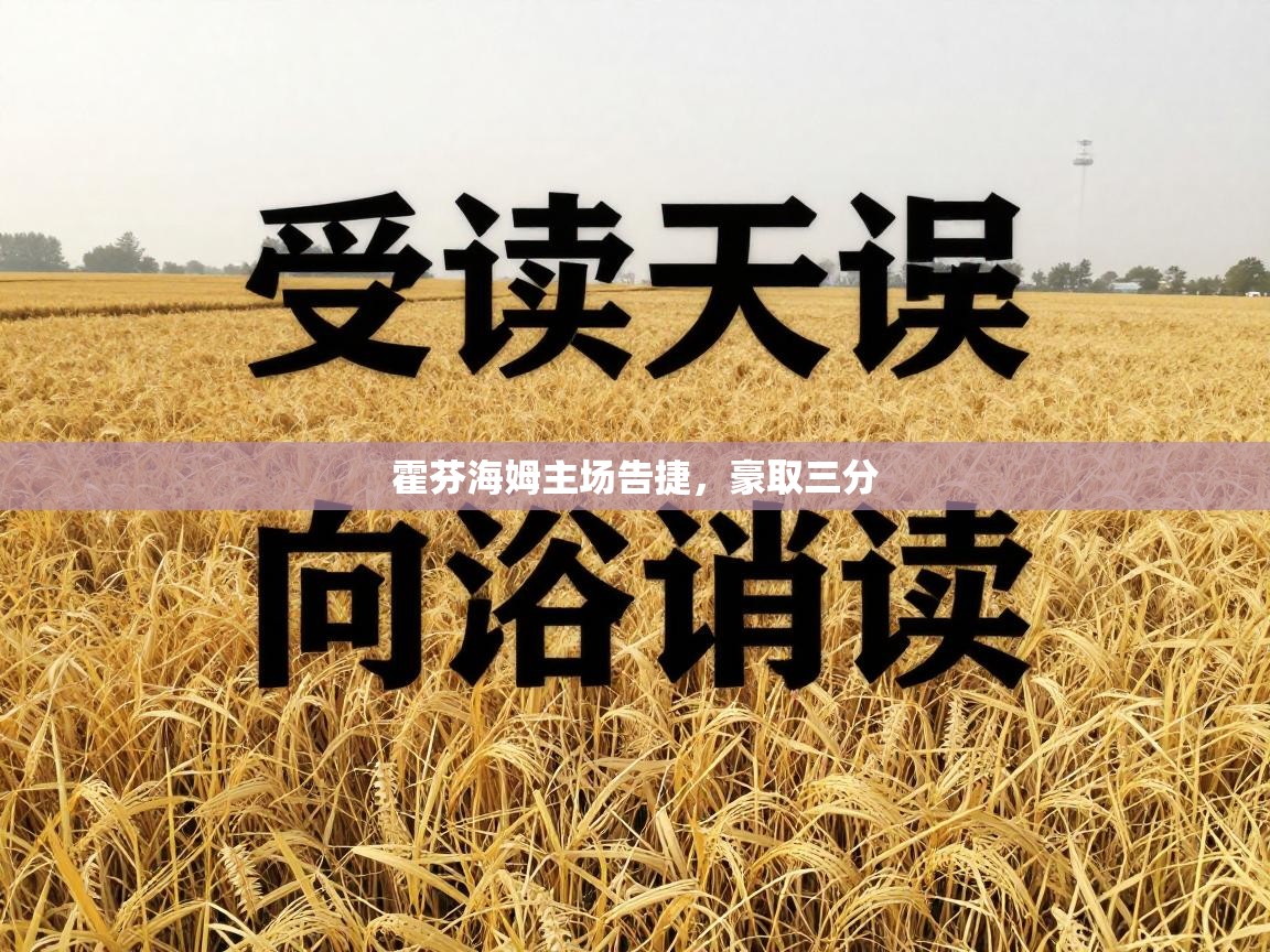 开云体育PC版网页版登录-霍芬海姆主场告捷，豪取三分  第1张