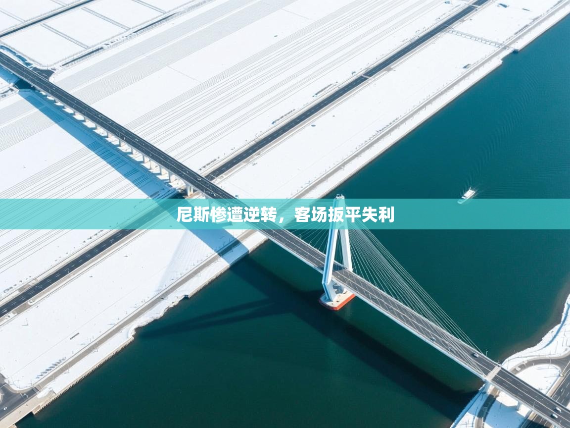 开云体育消息订阅关闭-尼斯惨遭逆转，客场扳平失利  第3张